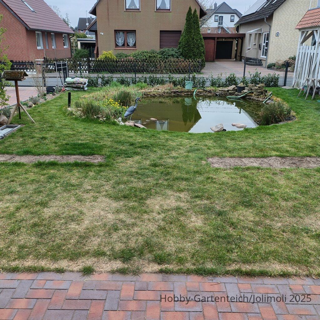 Unser Teich, mir fehlen Ideen