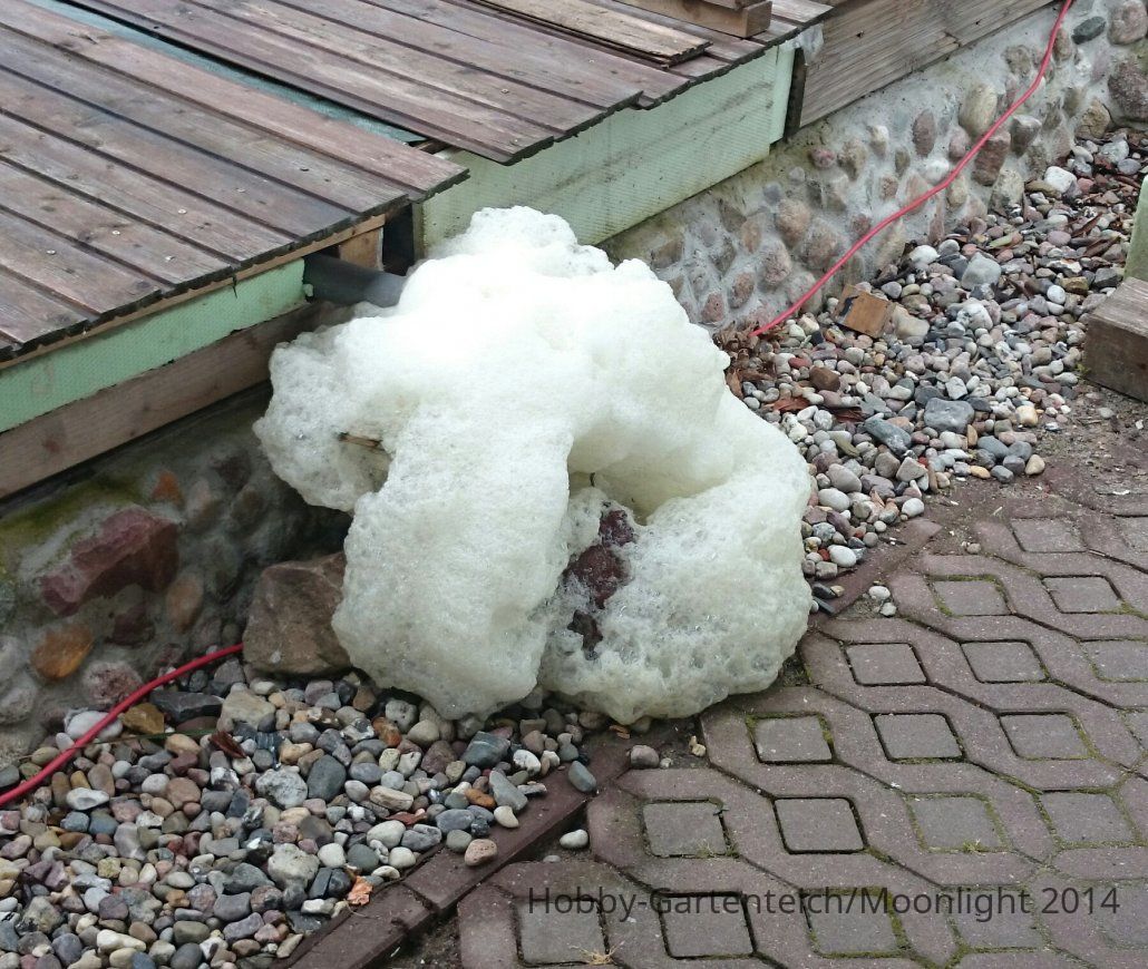 Schaum.JPG