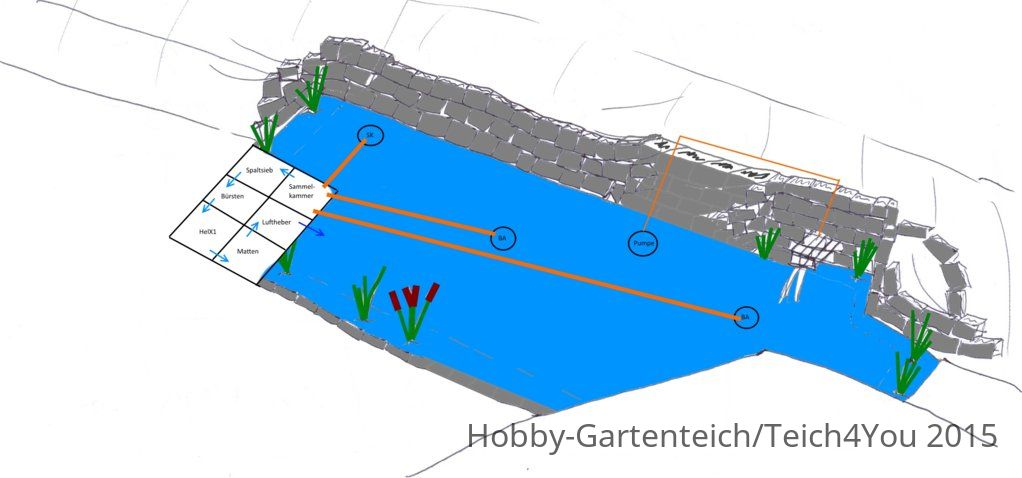 Teichskizze 2016 große version.jpg