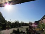 Wetter IMG_6330.JPG