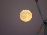 Mond IMG_5320.JPG