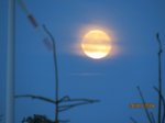 Mond IMG_5362.JPG