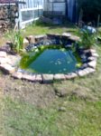 04-05-08_1605.jpg