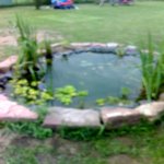 05-06-08_1630.jpg