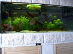 Aquarium nachgeschärft.jpg