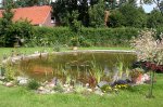 IMG_5890.JPG