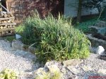 DSC00134.JPG