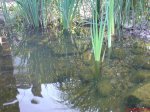 DSC00135.JPG