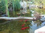 DSC00136.JPG