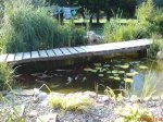DSC00139.JPG