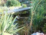 DSC00141.JPG