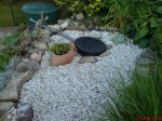 DSC00143.JPG