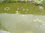 DSCF0852.JPG