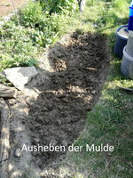 Ausheben-der-Mulde.jpg