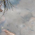 IMG_20250516_201134.jpg