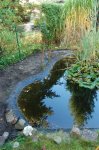 Haus_10_2008_16.jpg
