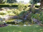 goldfischteich.JPG