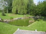 Teich 001.jpg