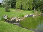 Teich 002.jpg