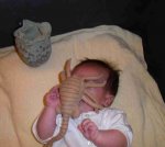 facehugger_baby.jpg