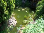 100_6028.jpg