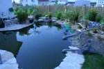 IMG_1781_800x533.JPG