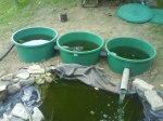 DSC00180.jpg