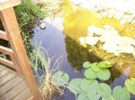 100_6232.jpg