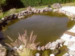 Foto-0023.jpg