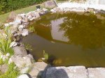 Foto-0025.jpg