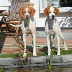 India and Gilrada watching fishes_klein.jpg