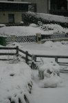 IQ3M1219_06-03-10_neuer-Schnee.JPG