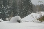 IQ3M1221_07-03-10_Schnee.JPG