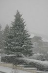 IQ3M1994_15-03-2010_Schnee.JPG