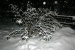 IQ3M2103_16-03-2010_Schnee.JPG