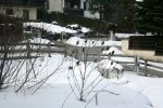 IQ3M2104_17-03-2010_Schnee.JPG