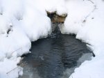 winter 2010 wasserfall.jpg