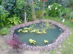 DSC00031.jpg