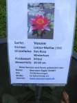 Neulußheim2011 024.jpg