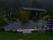 der sommer 2011 läßt grüßen 001.jpg