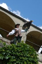 P1070448_2012-06-14_Rosenburg_Riesenseeadler.JPG