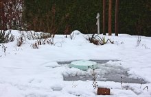 Teich leicht befroren und mit einer Schneehaube_600.JPG