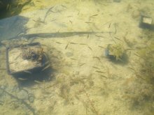 Test 2012 116.jpg