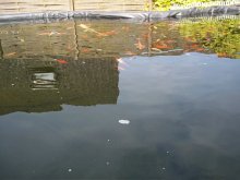100_0910.jpg