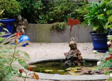 DSC01041.JPG