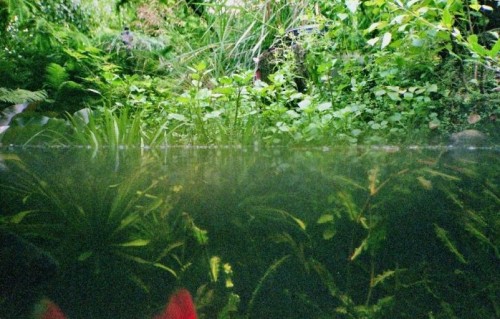 wasserlinie_739239_thumb.jpg