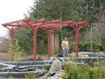 pergola1425_thumb.jpg